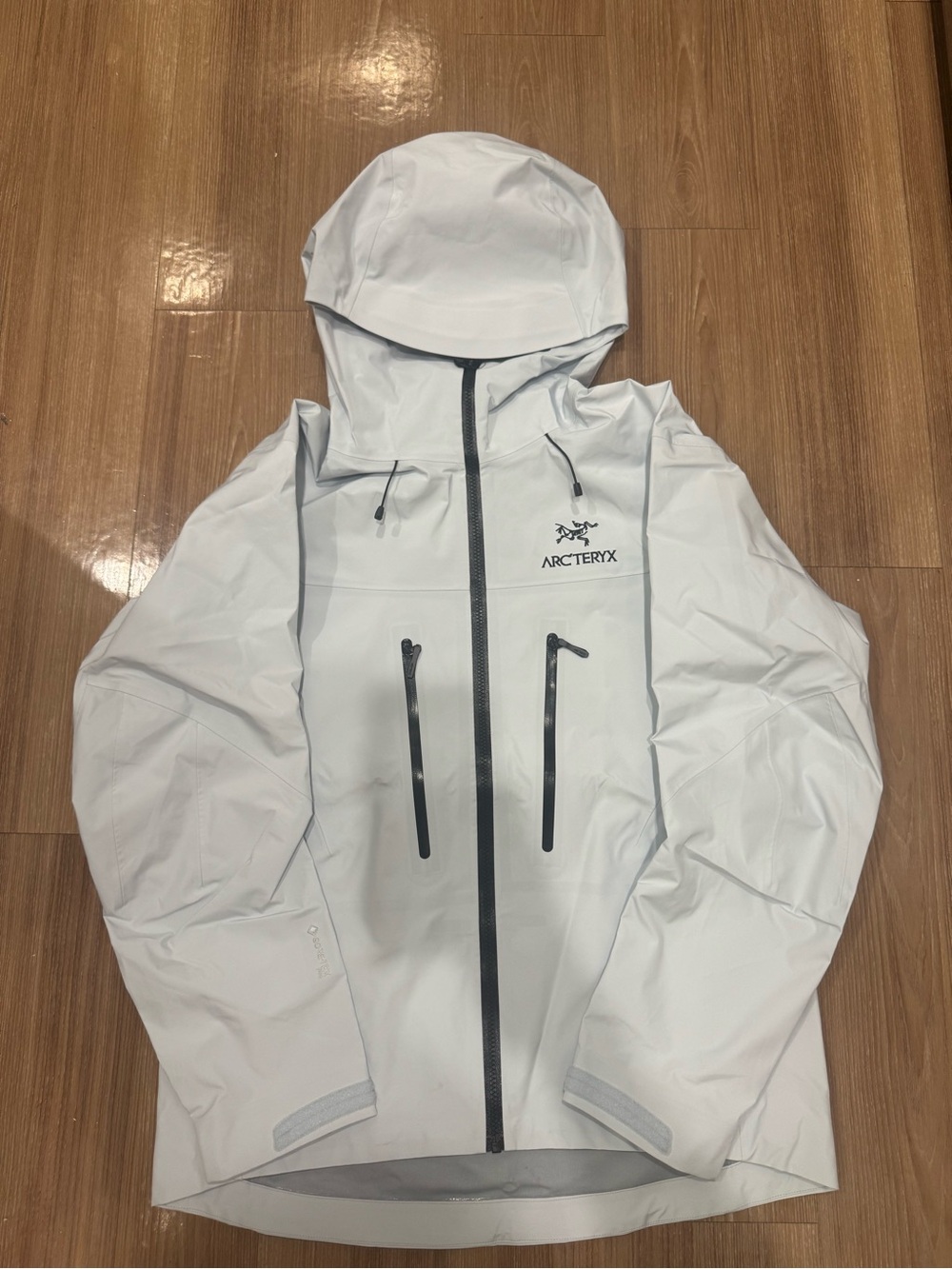 Arc'teryx Alpha SV Size Large Womens Size Mens Medium Waterproof Jacket Worn 1x